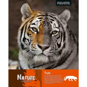 CUADERNO PROARTE UNIVERSITARIO NATURE T/EMPL. 7mm 100hj - Imagen 3