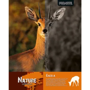 CUADERNO PROARTE UNIVERSITARIO NATURE T/EMPL. 7mm 100hj - Imagen 4