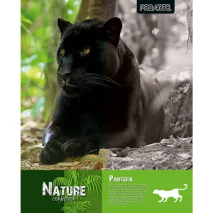 CUADERNO PROARTE UNIVERSITARIO NATURE T/EMPL. 7mm 100hj - Imagen 5