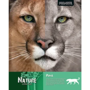 CUADERNO PROARTE UNIVERSITARIO NATURE T/EMPL. 7mm 100hj - Imagen 2