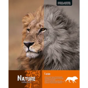 CUADERNO PROARTE UNIVERSITARIO NATURE T/EMPL. 7mm 100hj - Imagen 6