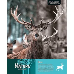 CUADERNO PROARTE UNIVERSITARIO NATURE T/EMPL. 7mm 100hj - Imagen 7