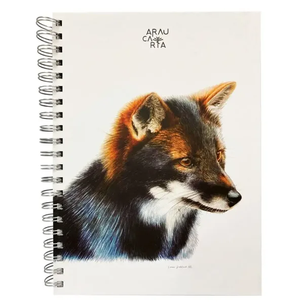 CuadAraucariaEspecialZorro20x27,5cm.20122778