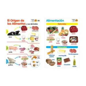 LAMINA ALIMENTACION/ORIG.ALIMENTOS 50*70 - JMA - Imagen 1