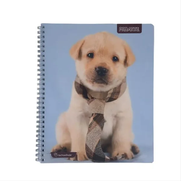 cuadProarteUnivAnimalesAdorables100hj-1