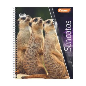 CUADERNO TORRE UNIVERSITARIO 100hj 7mm CLASICO FAUNA - Imagen 7