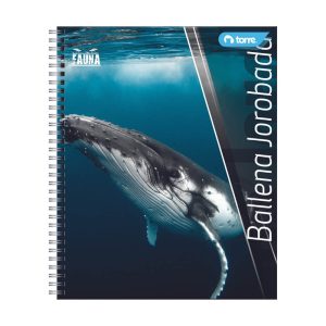 CUADERNO TORRE UNIVERSITARIO 100hj 7mm CLASICO FAUNA - Imagen 3